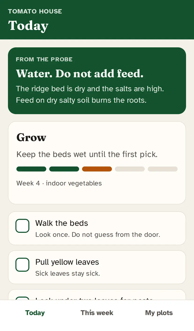 iPhone Field app, Today. Tomato house. From the probe: Water. Do not add feed. Stage Grow, week 4. Tap list in plain words. Simulated farm.